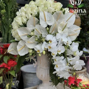 جام گل سمفونیِ سفید