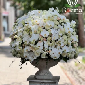 جام گل سپیده