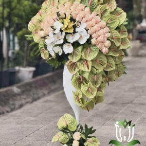 جام گل سلطنتی گل بانو