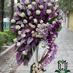 جام گل شاه آنتریوم