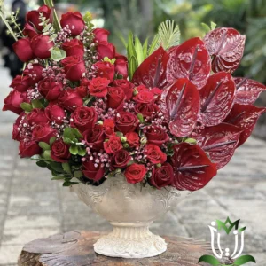 جام گل آماندا