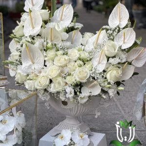 جام گل آيدا