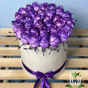 باکس گل راز ارغوانی