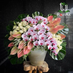 جام گل رکسانا